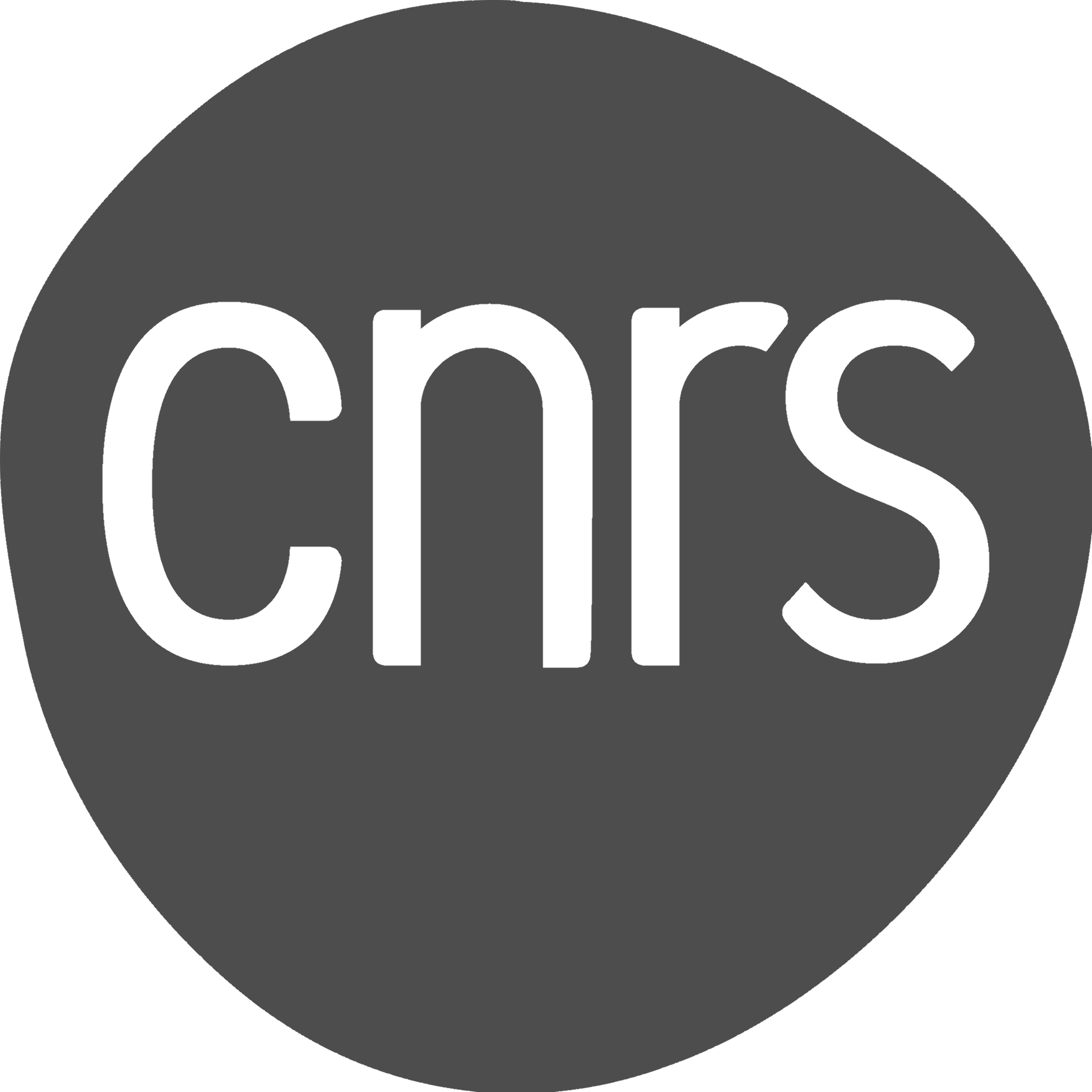 CNRS Logo